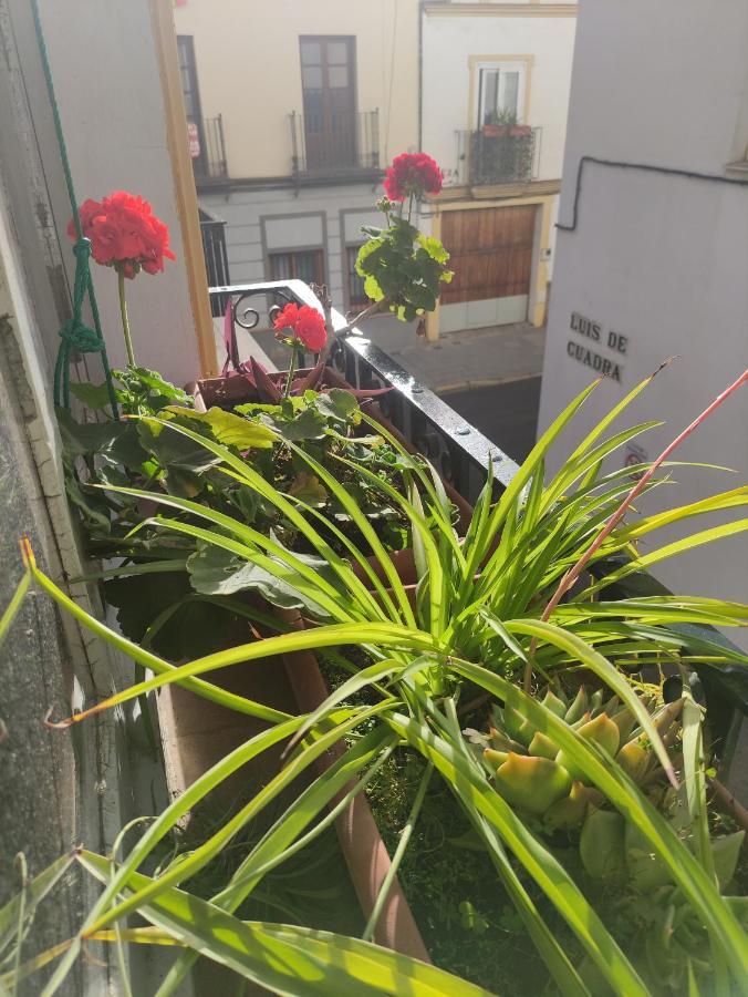 Vive Triana Apartment Sevilla Bagian luar foto