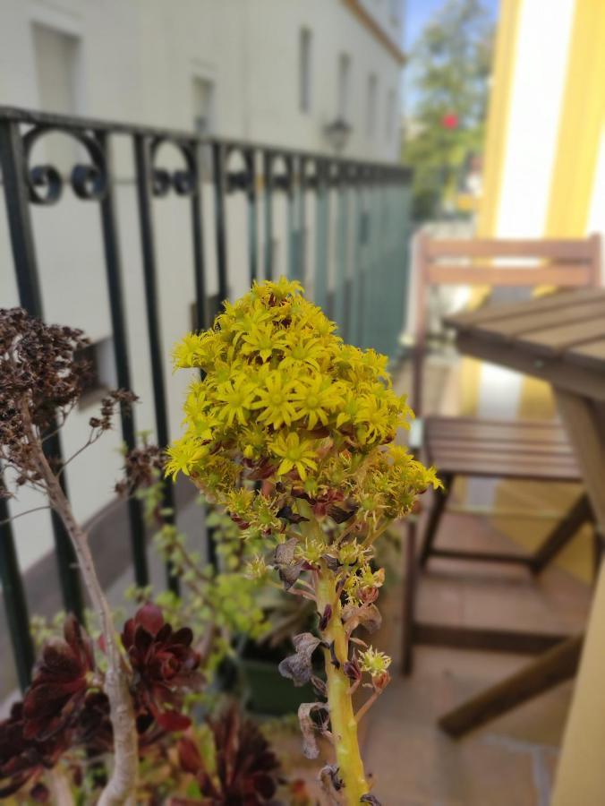 Vive Triana Apartment Sevilla Bagian luar foto
