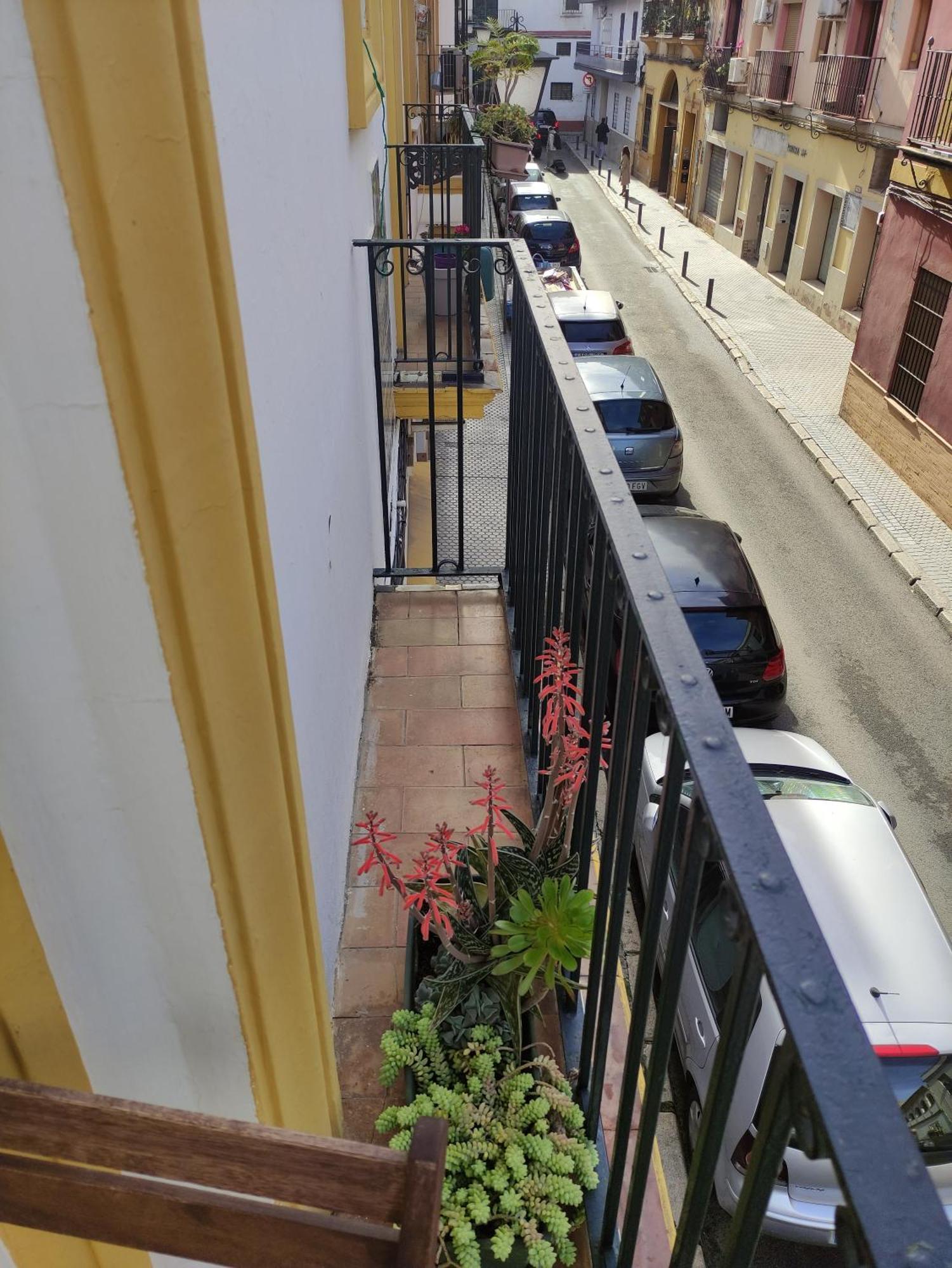 Vive Triana Apartment Sevilla Bagian luar foto